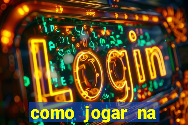 como jogar na lotinha do jogo do bicho